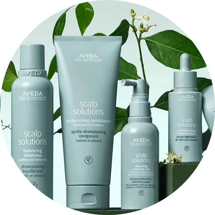 group of Scalp Solution products surrounded by lush green leaves in front of a soft blue gradient background
